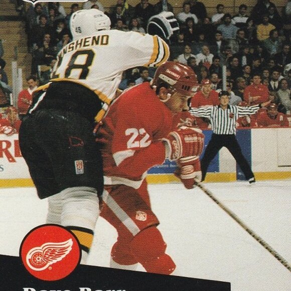 Dave Barr Hockey Card Collection - Picture 5 of 6